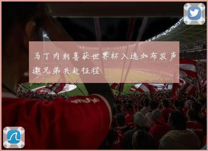 马丁内利喜获世界杯入选加布发声邀兄弟共赴征程